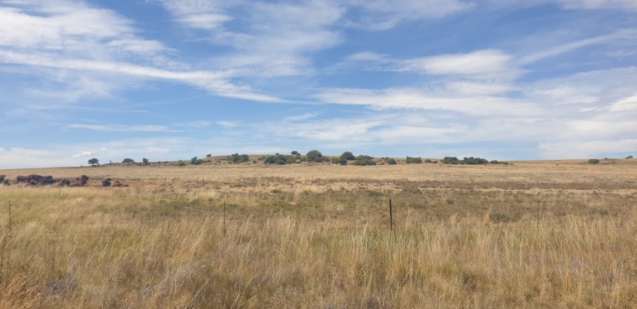  Bedroom Property for Sale in Bloemfontein Rural Free State